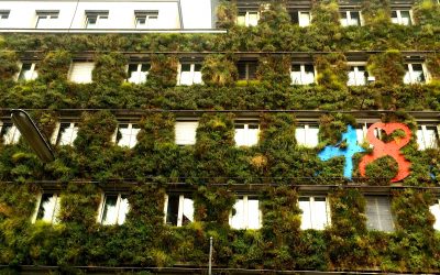 Gemeinde Wien verpflichtet zu Massnahmen der Klimaresilienz