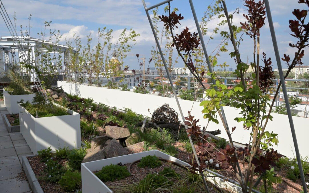 Biotope City: Bauanleitung für eine klimaresiliente, grüne und naturinklusive Stadt