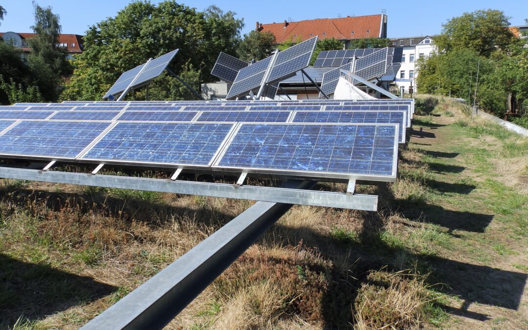 Photovoltaic Plantscapes – Kombinationsmöglichkeiten von Bauwerksbegrünung und Photovoltaik